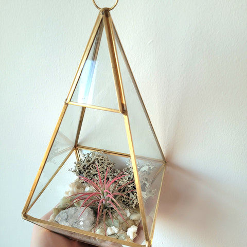 A golden geometrical air plant terrarium with an amethyst crystal and preserved moss.