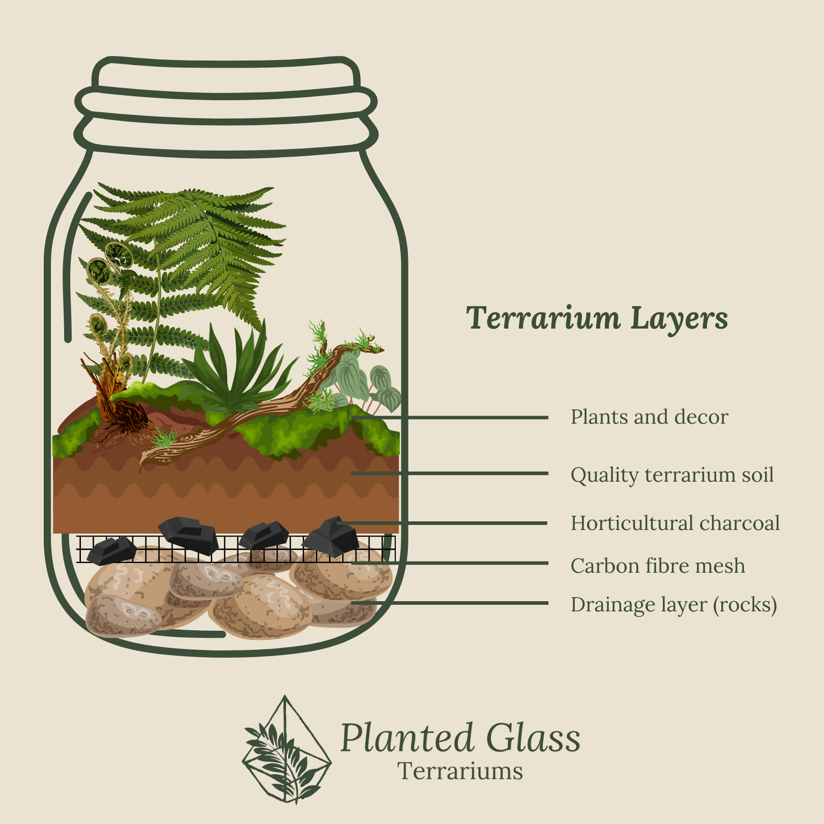 You need these layers in your terrarium – Planted Glass Terrariums