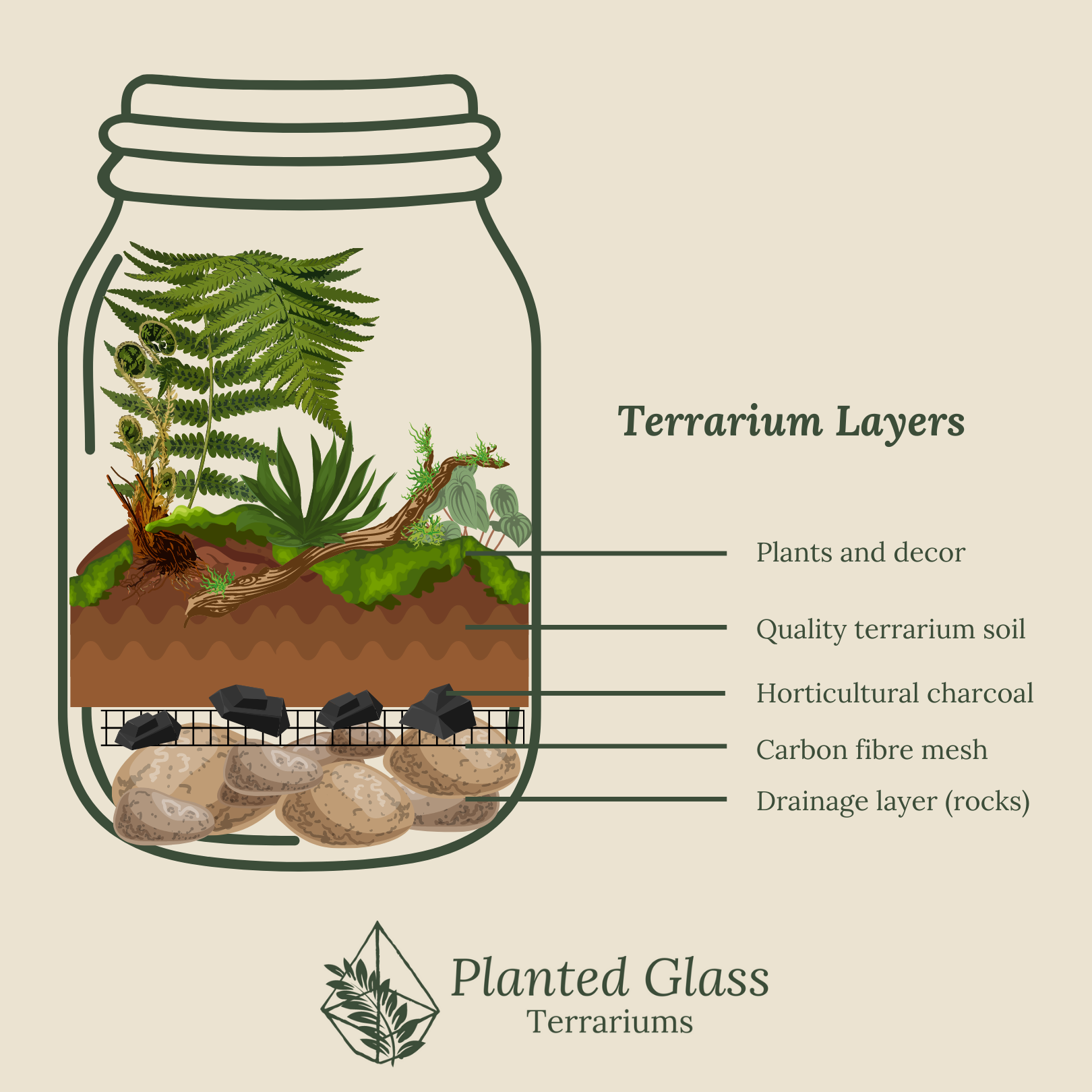 Planted Glass Terrariums diagram of layers you need in a closed terrarium