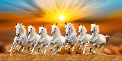 Horse Wallpaper Images - Free Download on Freepik