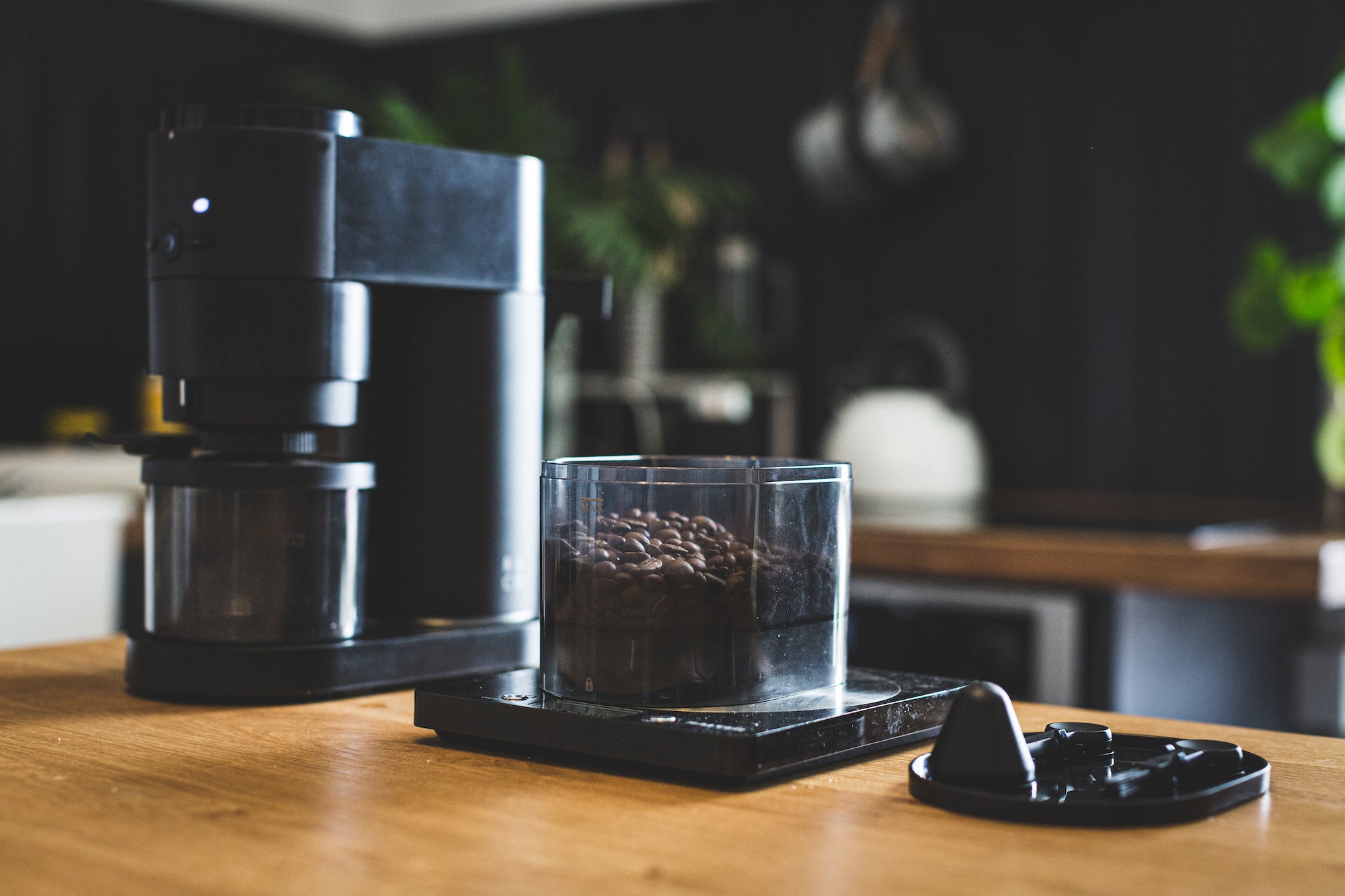 Barista & Co All Core Grind coffee maker - enter giveaway with Wingback