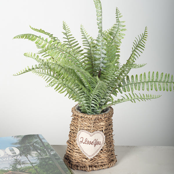 I Love You Fern In Basket