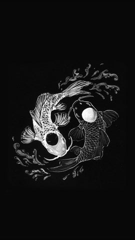 Plongée dans le Qi- explication du Yin et du Yang- trigrammes bagua | obsidian dragons