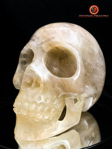 Méditer avec un crâne de cristal- Connexion akashique | obsidian dragons