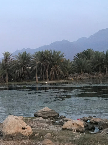 Socotra