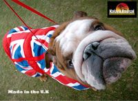 made in the UK bulldog