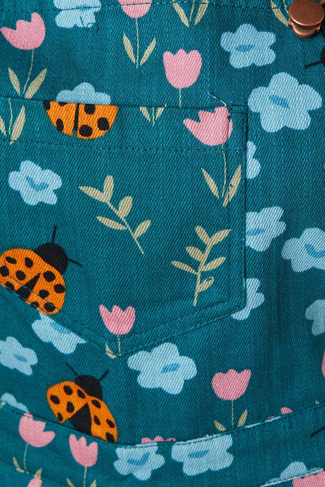 Ladybug Overall