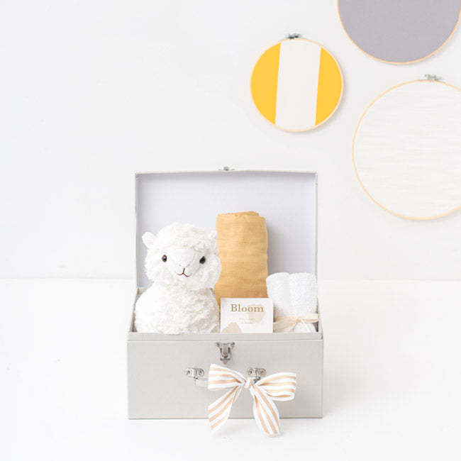 Baby Hamper In Chinchilla