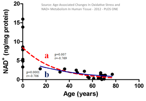Graphic on Age-Associated Changes in Oxidative Stress and NAD+Metabolism in Human Tissue