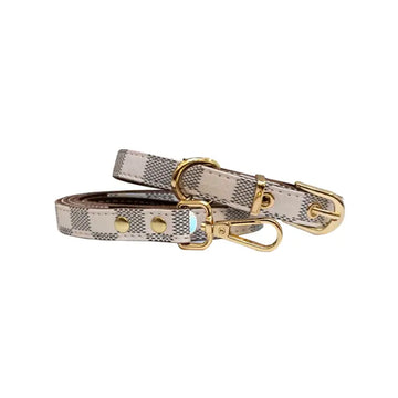 gold dog lead and collar