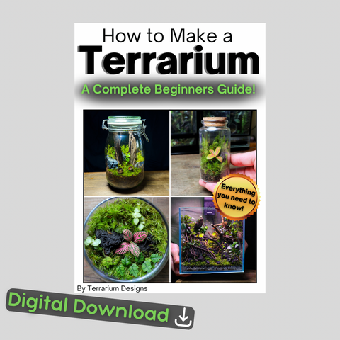 A book on how to make a terrarium for beginners