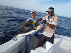 sailfish on bfd trolling lure