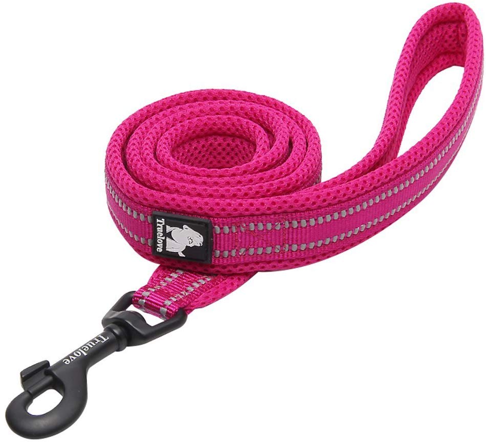 padded dog leash