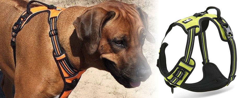  Chai's Choice - Premium Outdoor Adventure Dog Harness. 3M  Reflective Vest. Please Measure Dog Before Ordering! Matching Leash and  Collar Available (Large, Bright Orange) : Pet Supplies