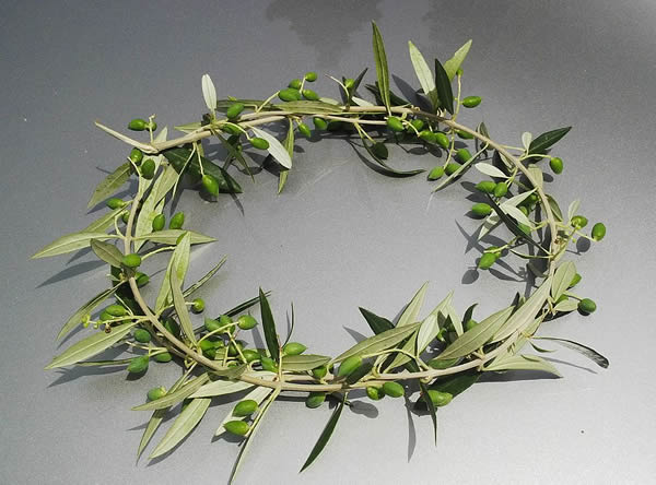 Olive Branch Laurel Wreath