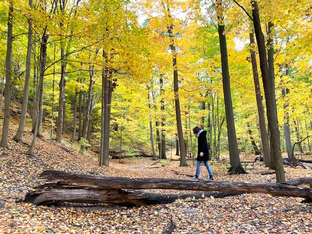 Leah stands amongst an autumnal forest view, walking along the top of a fallen log