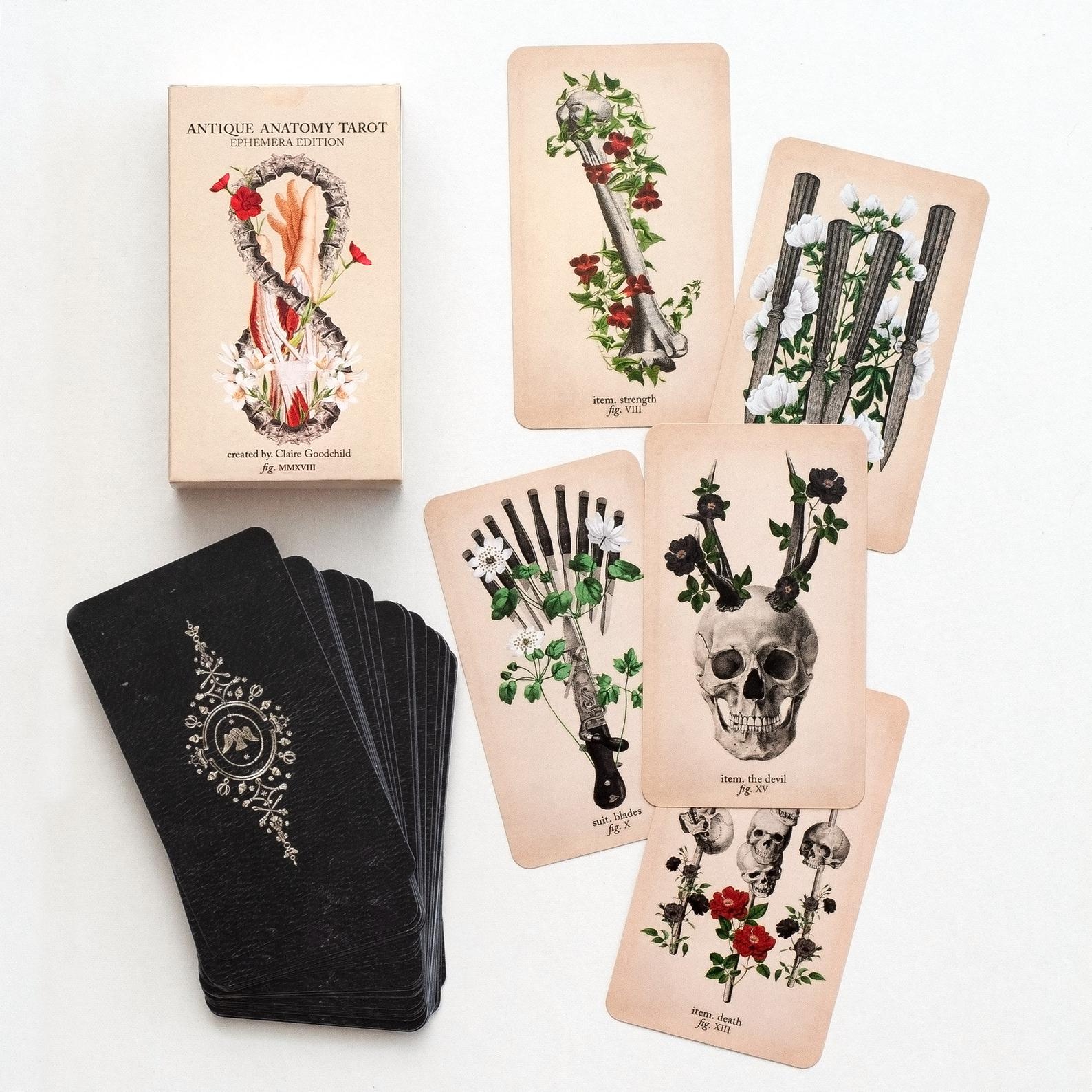 Antique Anatomy Tarot Cards - Scout