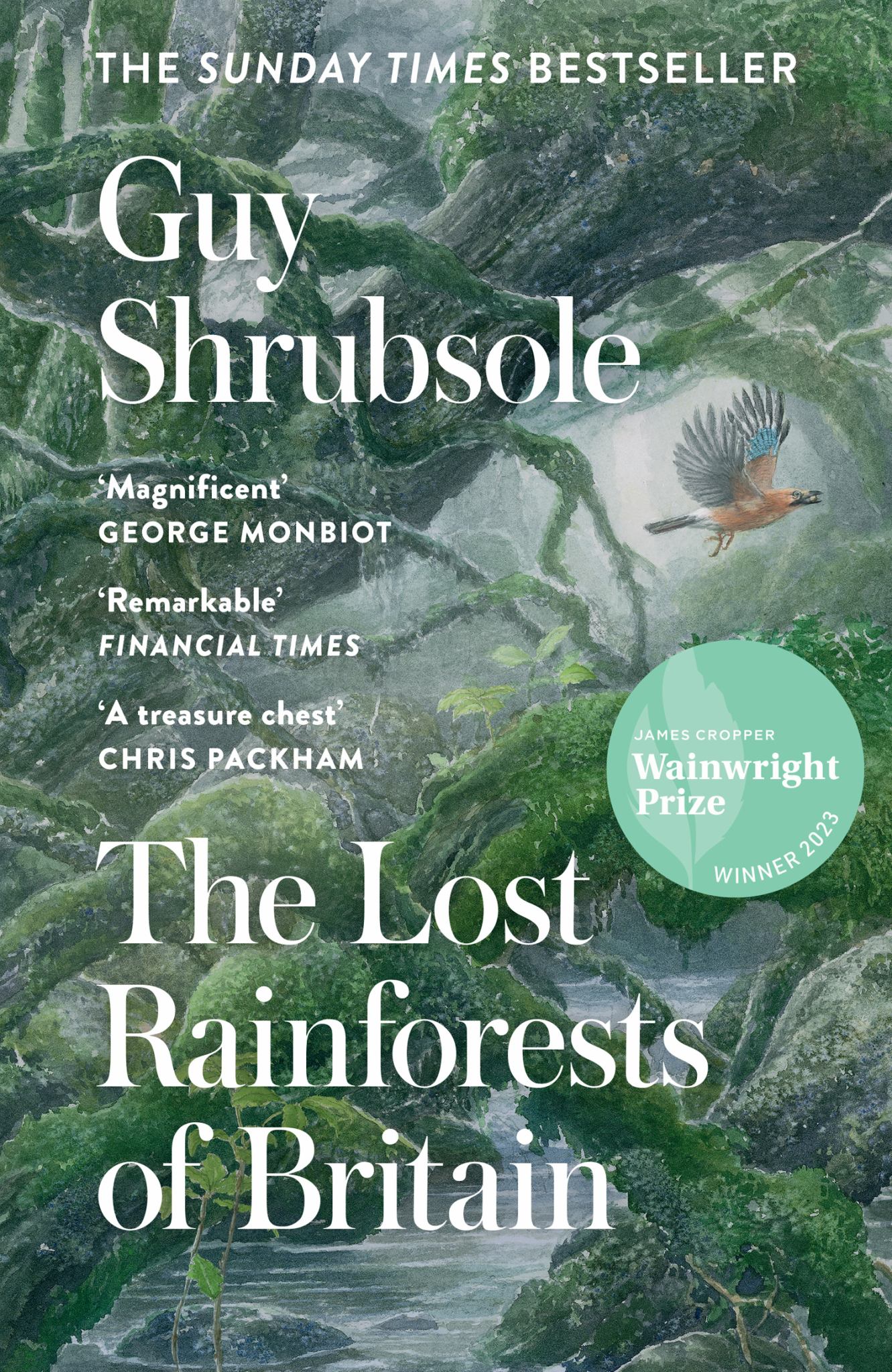 Lost Rainforests Of Britain