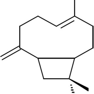 beta-caryophyllène