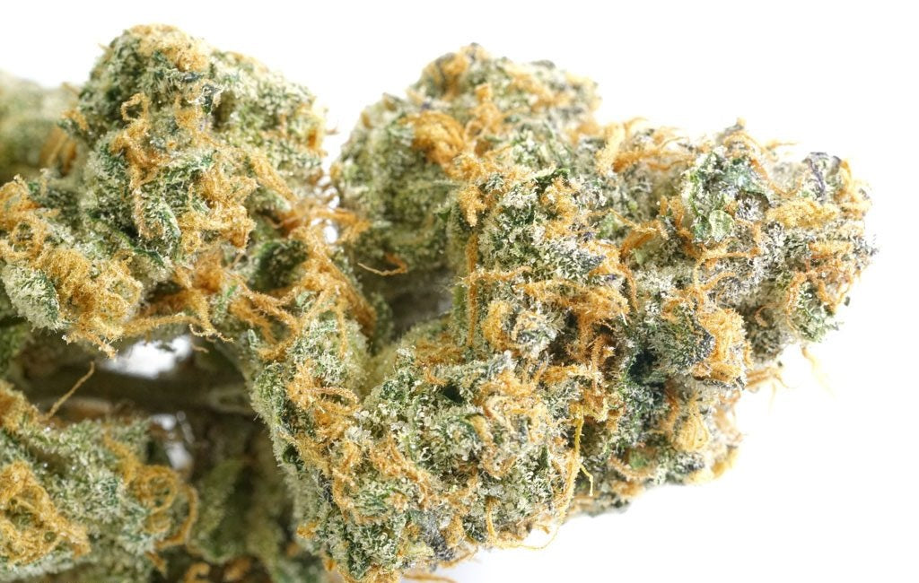 Fleur de CBD cali express par Maison Sativa