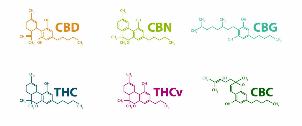 présentation des cannabinoïdes contenu dans le cannabis, tel que le THC, le CBD, le CBD, le THCV, le CBG, le CBN