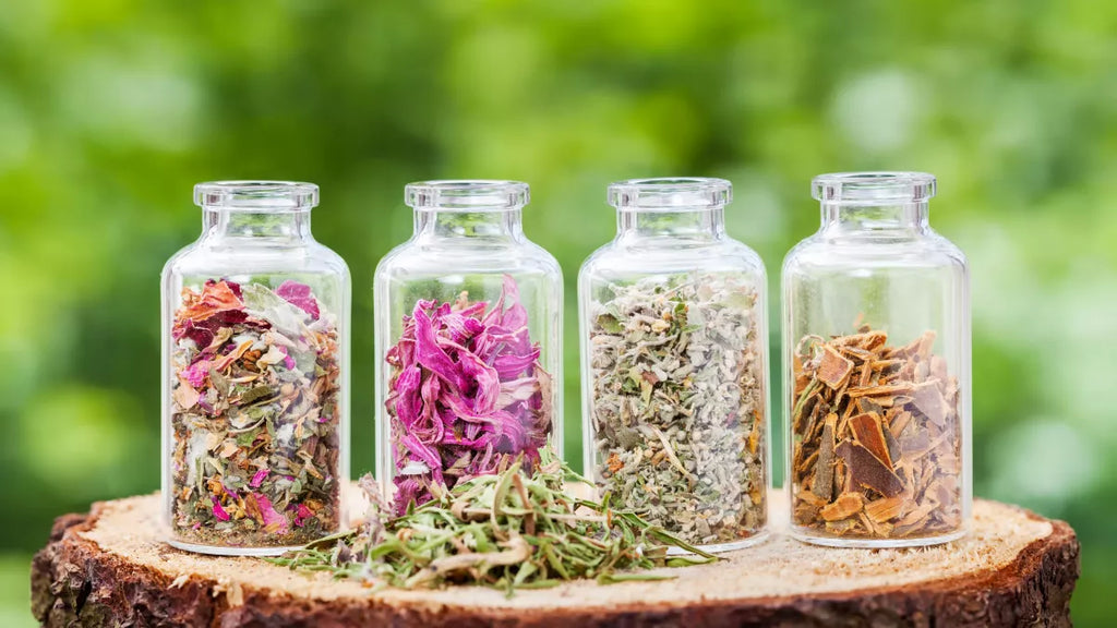 medicinal herbs to prepare infusions