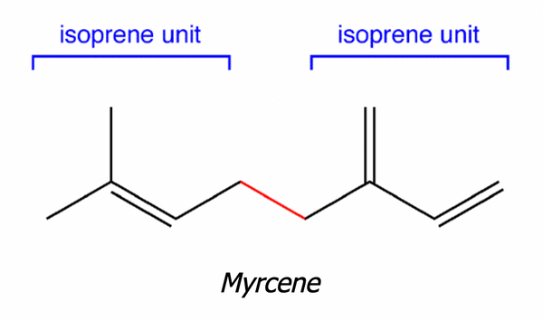 deux sous unités isoprène forme le myrcène