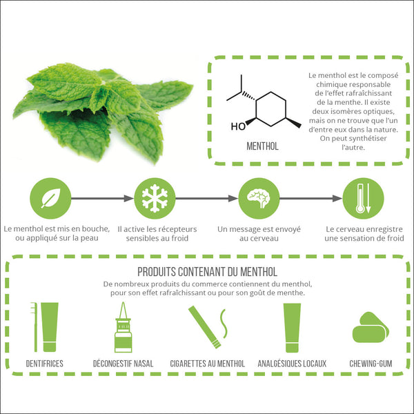 usage et mode d'action du menthol