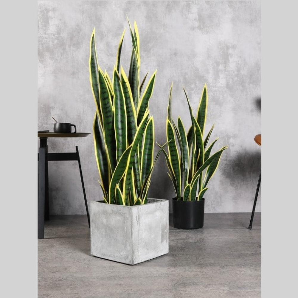 Planta de cáñamo artificial Sansevieria Laurenti 100 cm