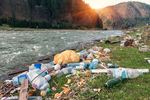 Le plastique dans l'environnement