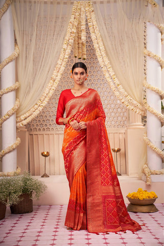 Nivi Style Saree Draping