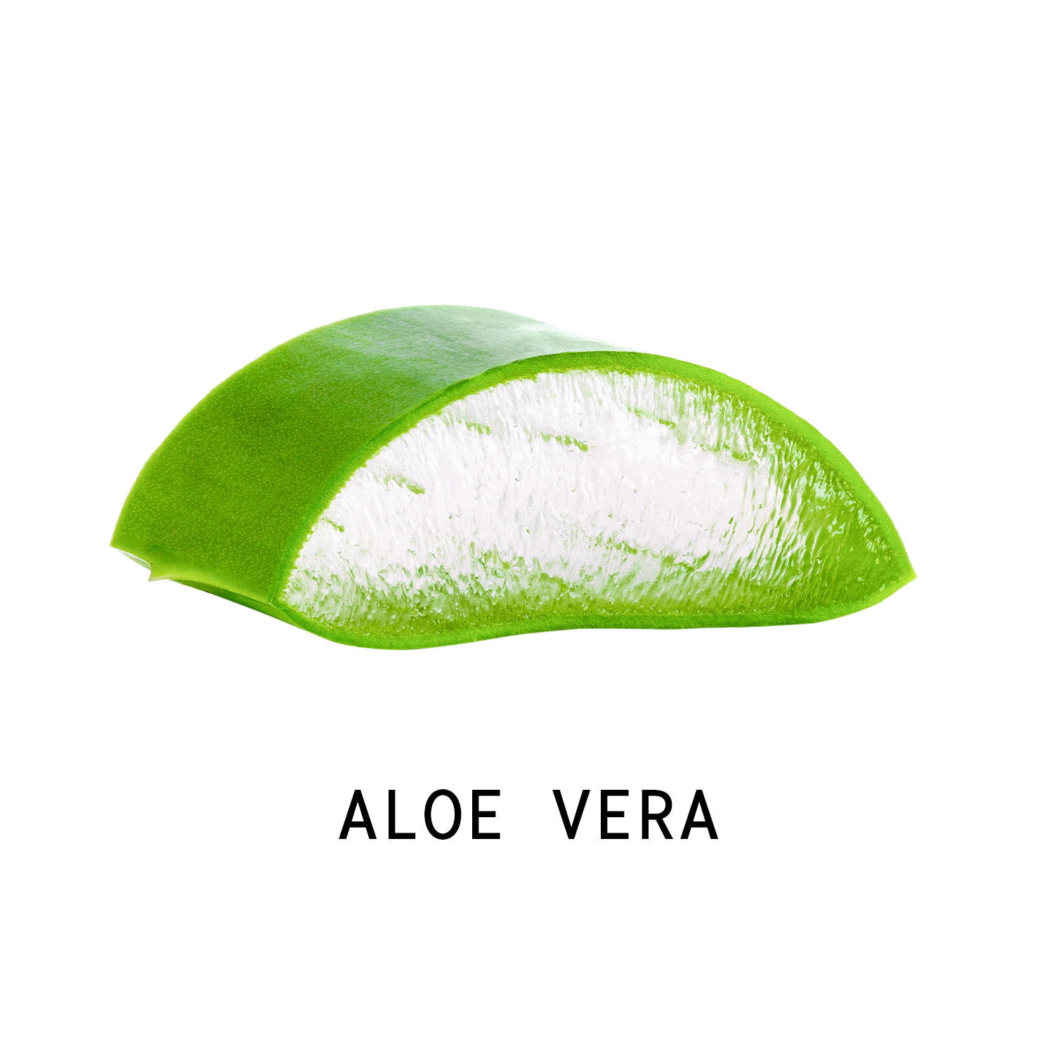 ALOE VERA.png__PID:c827cff0-e3e6-4a46-bcd4-664b06955953