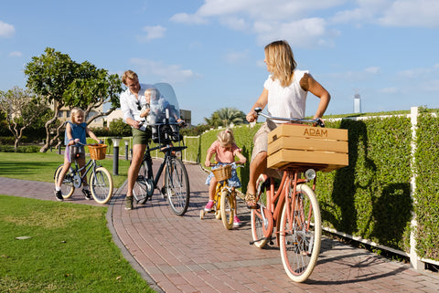 adult bicycles