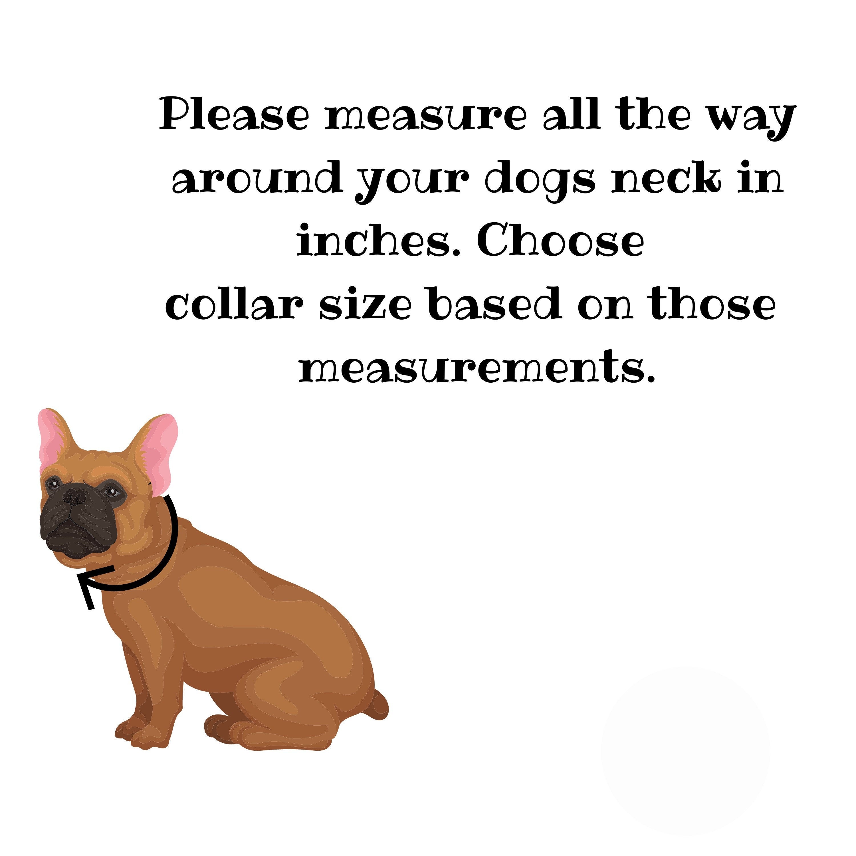 Customized Dog Beaded Collar Necklace rainbow Beaded Dog Jewelrybest Gift  for Doggypet Lovers - Etsy