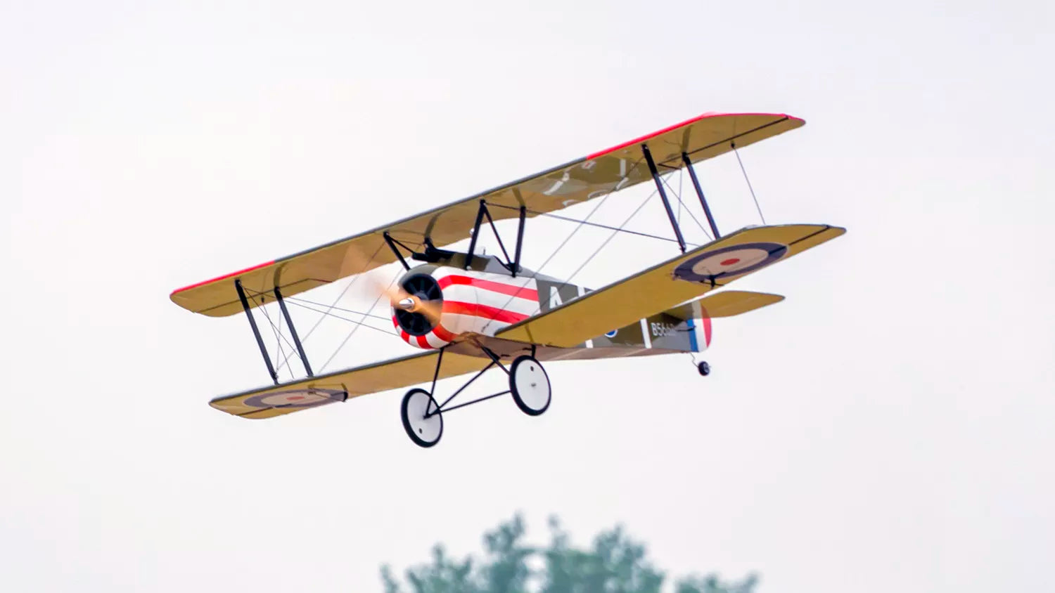 DWHobby Sopwith Camel ARF 1200mm