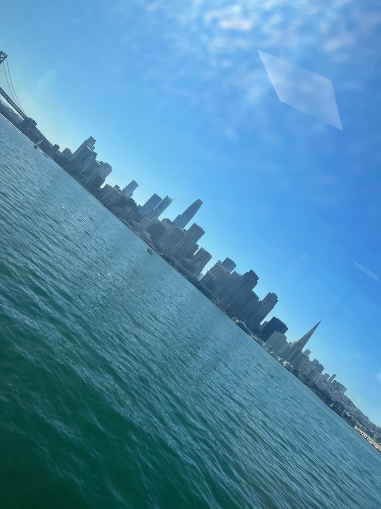 san Francisco from the ferry