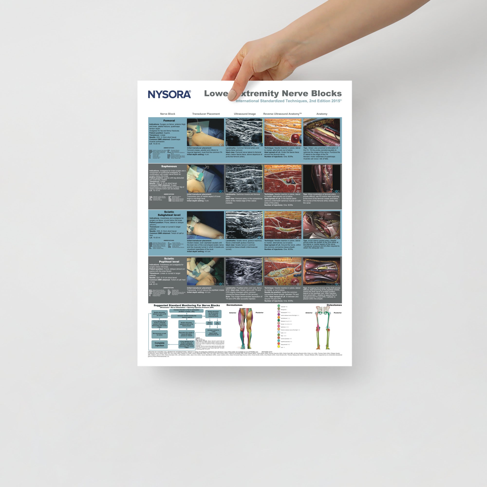 Lower Extremity Nerve Blocks Poster (in)