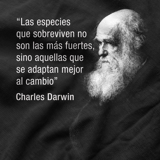 Camiseta Charles Darwin Frase Motivadora — 