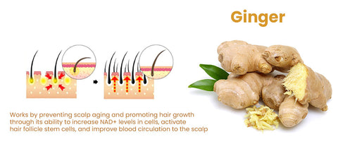 Oveallgo™ Glamor Ginger Essential Hair Growth Cream