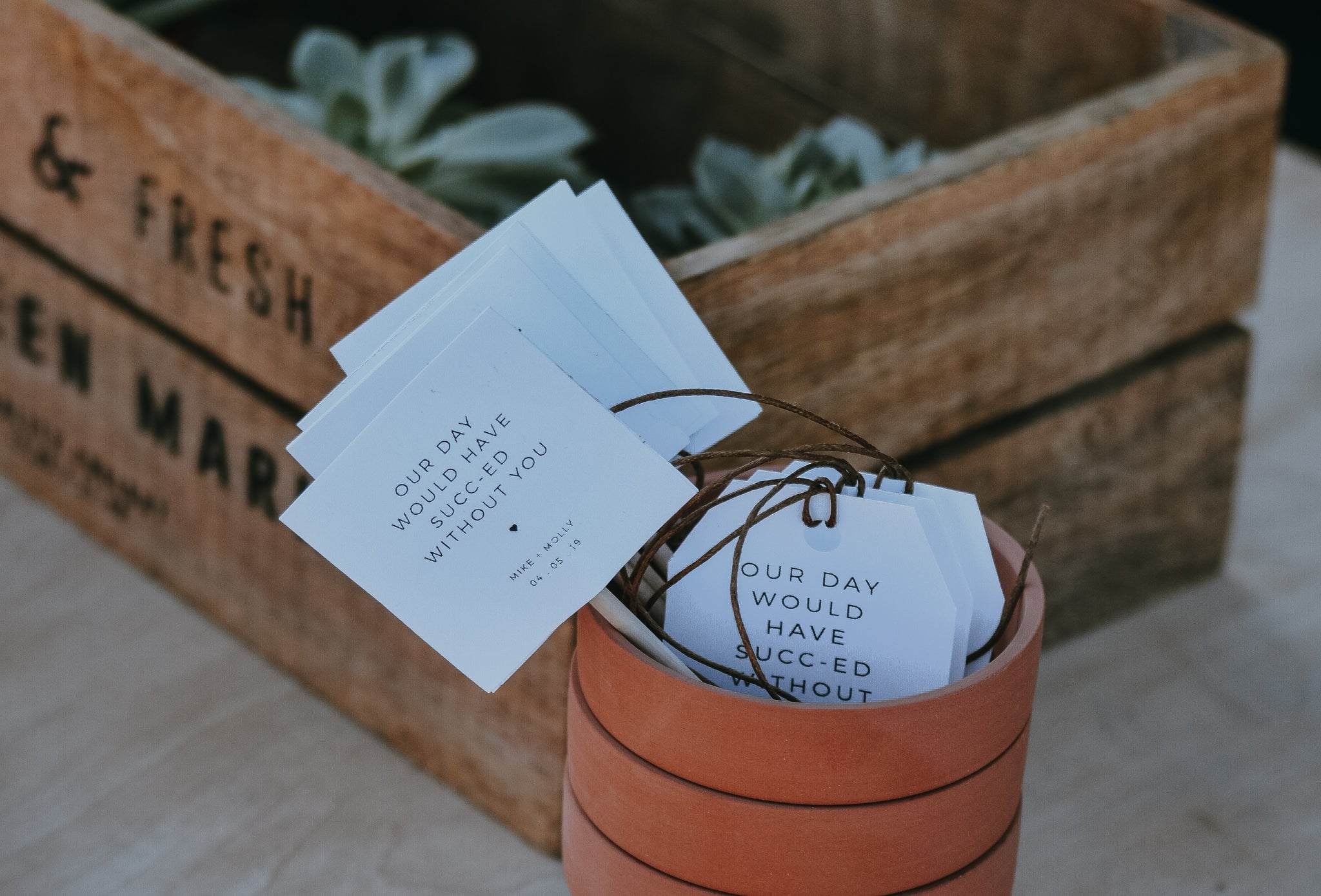 Succulent wedding favours