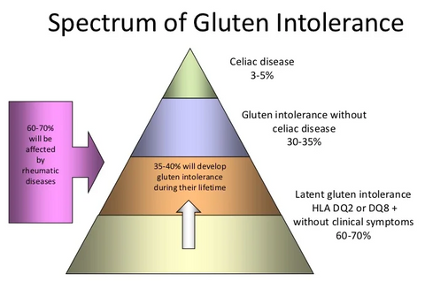 pyramid depicting spectrum of gluten intolerance