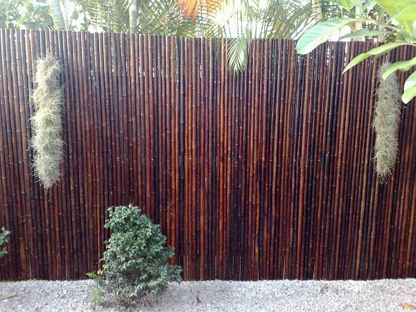 Mahogany Bamboo Fence
