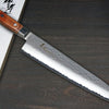 Sakai Takayuki PRO VG5 Hammered Japanese Chef's Gyuto Knife 240mm