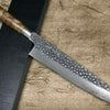 Takeshi Saji R2 Mirror Hammered KRN Japanese Chefs Gyuto Knife 240mm with Karin Lump Handle