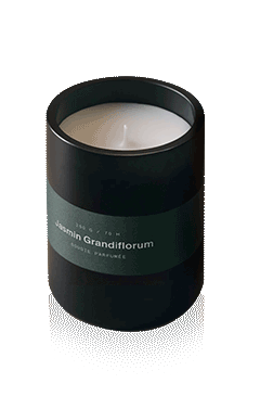 mariejeanne candle jasmin grandiflorum