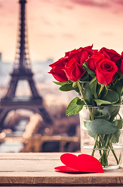 paris and roses