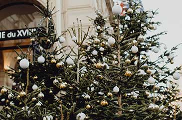 christmas tree in paris street