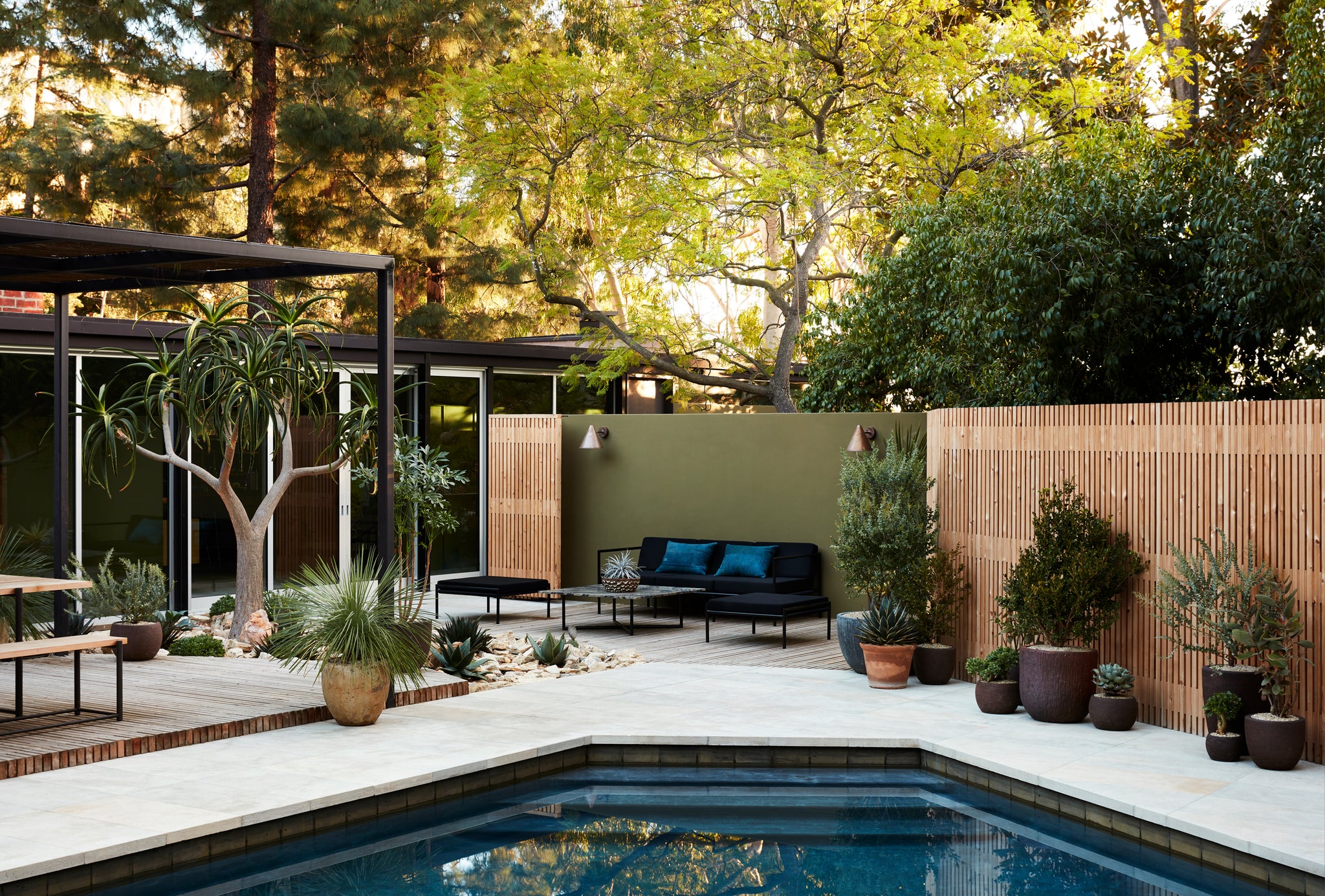 Poolside Landscape Design at Ledgewood Project in Hollywood Hills