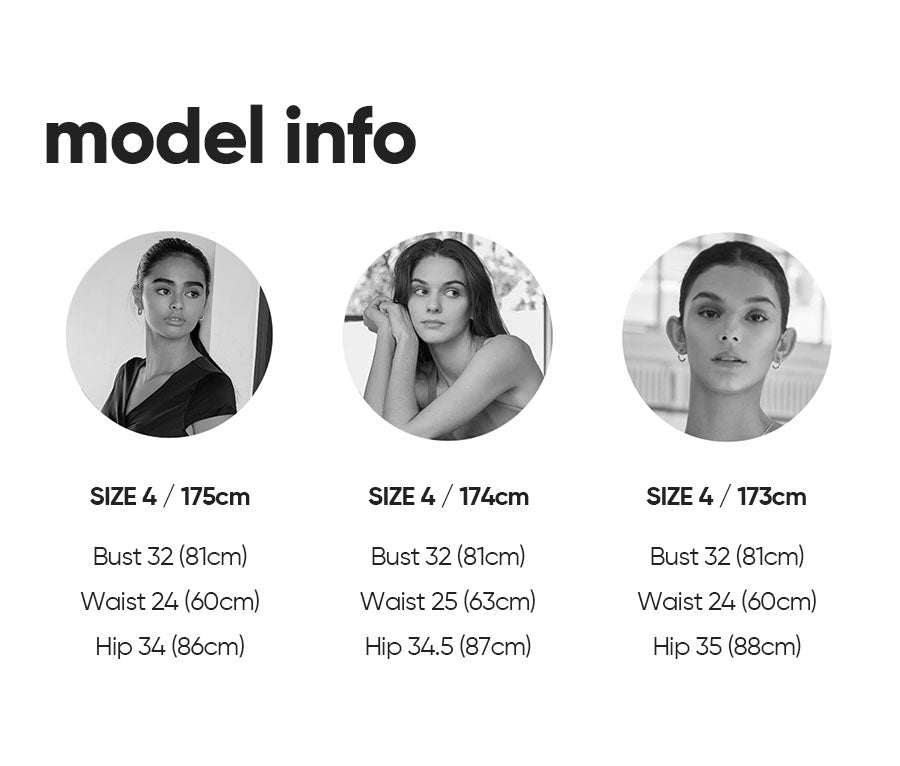 model info