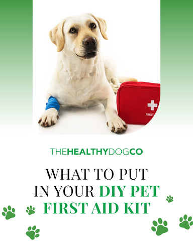 What to put in your DIY pet first aid kit